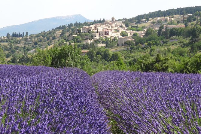 Lavender Tour Sault From Marseille Tour Overview