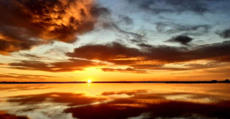 Le Grau Du Roi: Half Day Tour Of Camargue Discover The Camargues Treasures