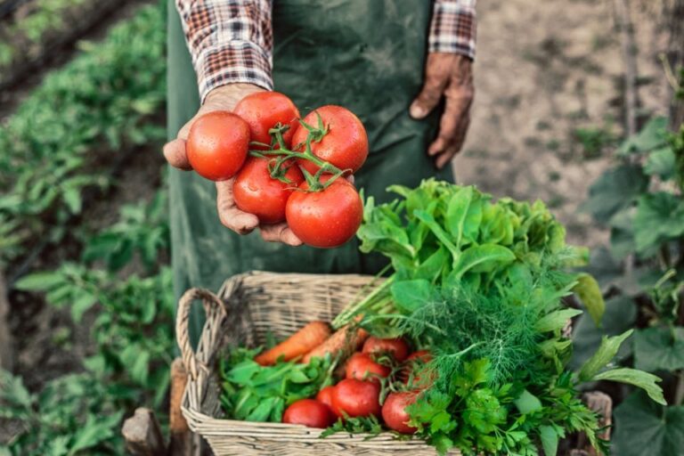 Learn To Cook Authentic Corfu Recipes With A Local Cook Activity Overview