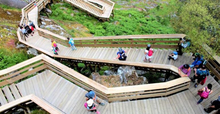 Leave Porto And Go Hiking In The Paiva Walkways, Arouca Activity Overview