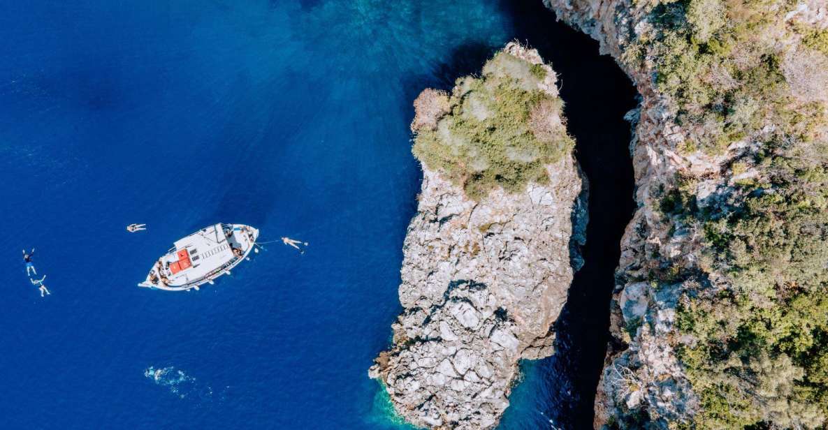 Lefkada: Private Marine Wildlife Tour - Tour Overview and Pricing