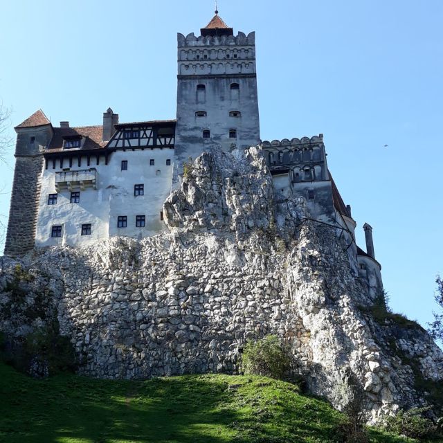 Legends&wildlife Awaits: Draculas Castle & Bear Sanctuary Tour Overview