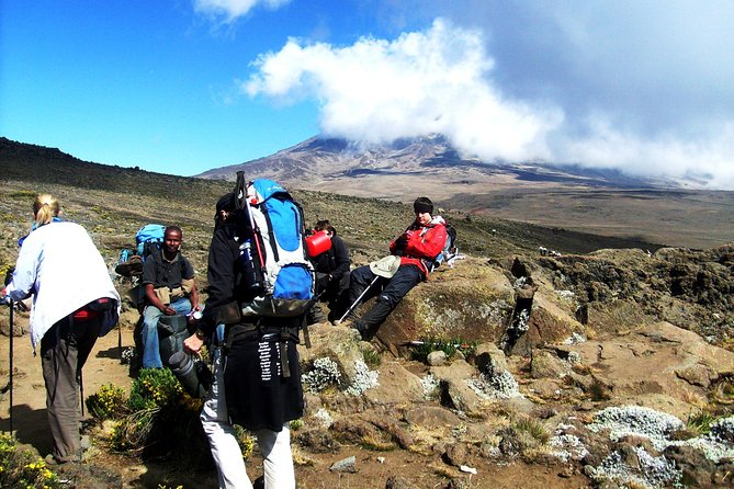 Lemosho Route 8 Days 7 Nights/kilimanjaro Climb Tour Overview And Details