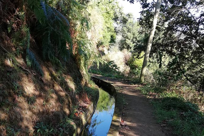 Levada Da Referta - Castelejo - Overview