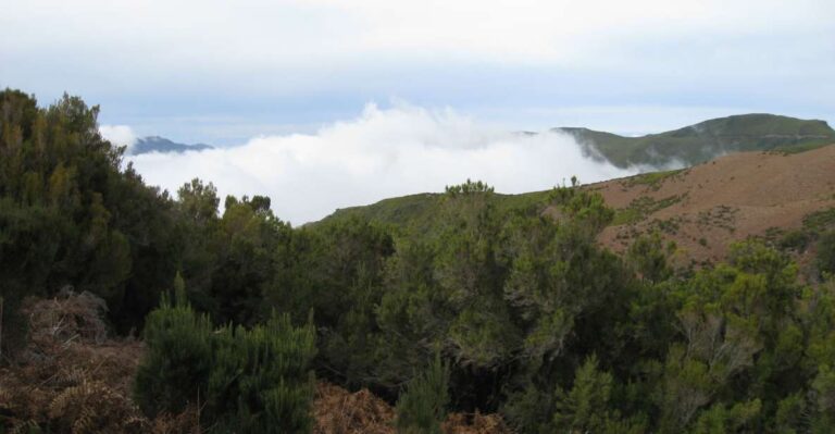 Levada Do Alecrim (madeira Lakes) Full Day Walk Activity Overview