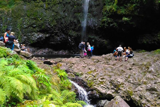 Levada Do Caldeirão Verde Levada Walk From Funchal Overview Of The Levada Walk