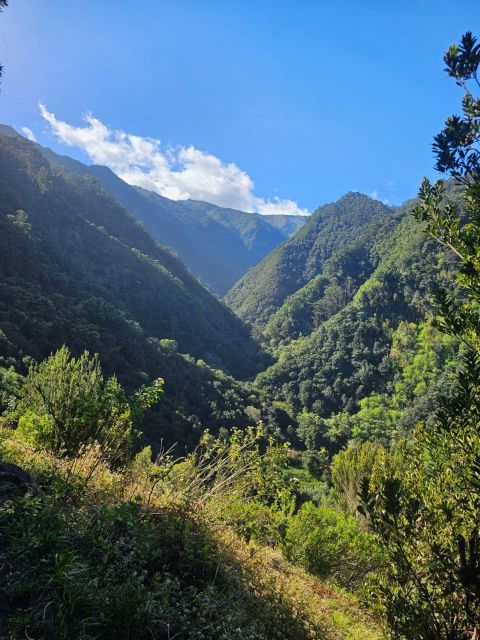 Levada Do Castelejo Guided Tour By Overland Madeira Lush Forest Adventure