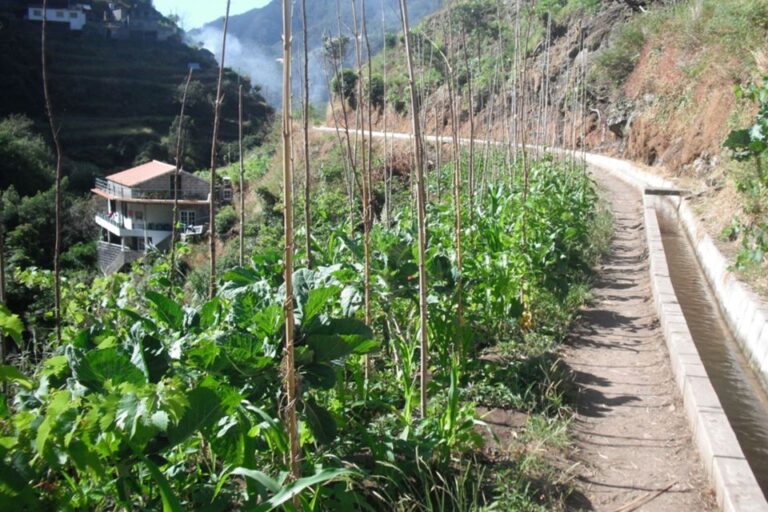 Levada Dos Maroços Half Day Easy Walk Activity Overview