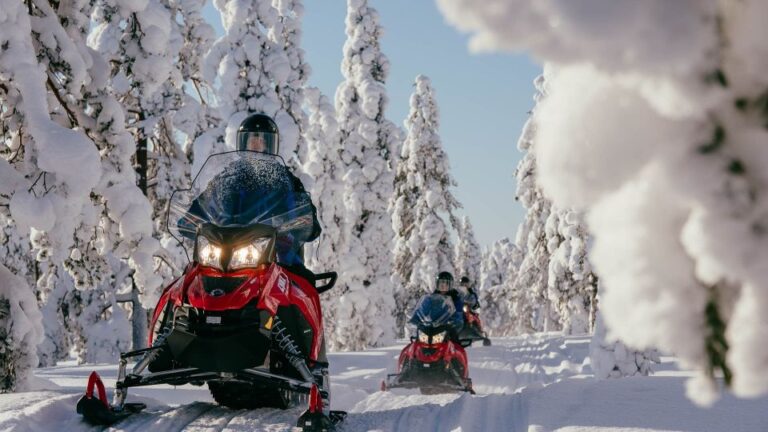 Levi: 2 Hours Snowmobile Safari To The Levi Nature Overview Of The Snowmobile Safari