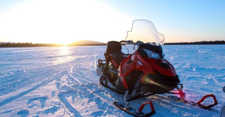 Levi: 3 Hour Snowmobile Safari Around Levi With Coffee Break About The Snowmobile Safari