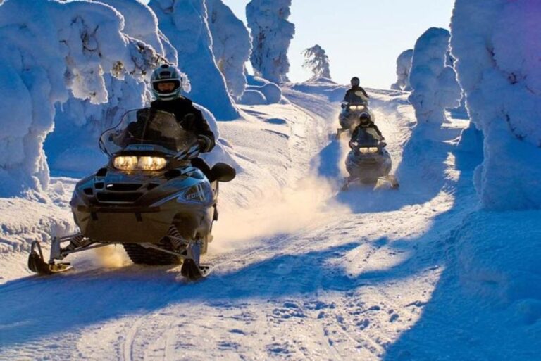 Levi: Lapland Family Snowmobile Safari Ticket Details