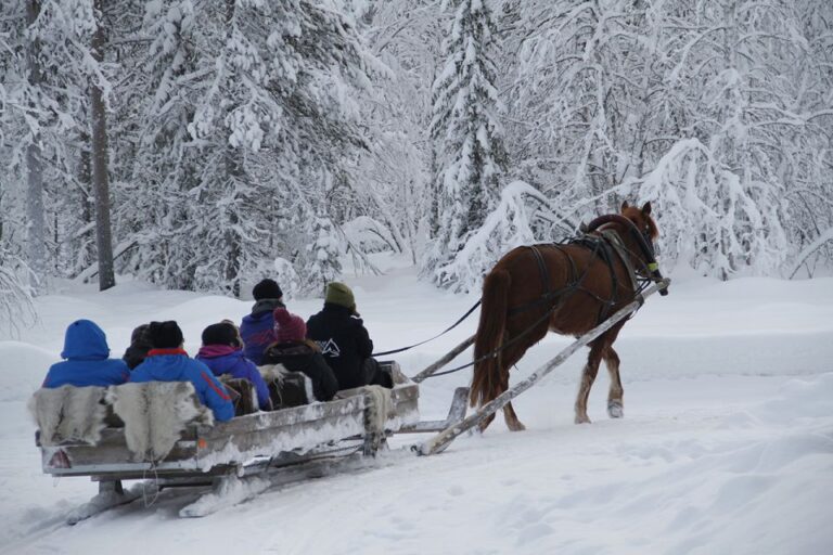 Levi, Polar Lights Tours: One Horse Open Sleigh Ride Nostalgic Winter Wonderland