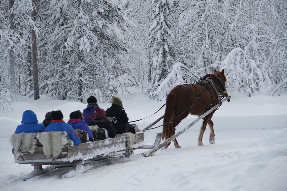 Levi, Polar Lights Tours: One Horse Open Sleigh Ride - Nostalgic Winter Wonderland