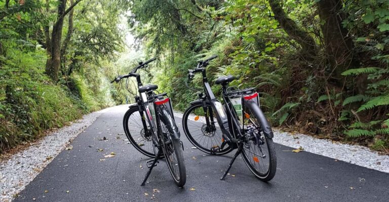 Limerick Greenway Self Guided Bike Tour Overview And Pricing