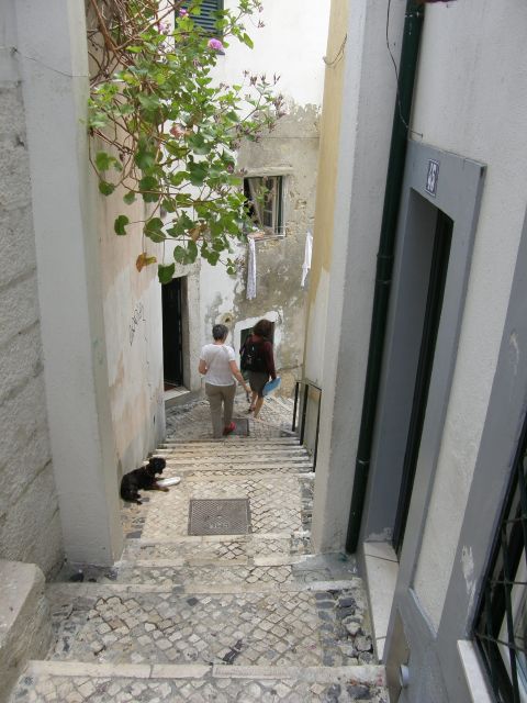 Lisbon: Alfama and São Jorge Castle Quarters Walking Tour - Tour Overview