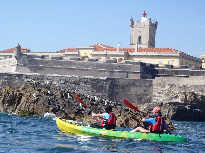 Lisbon Coast Guided Kayak Tour - Tour Overview