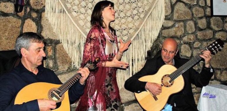 Lisbon Dinner With Fado Show And Sights By Night Tour Details