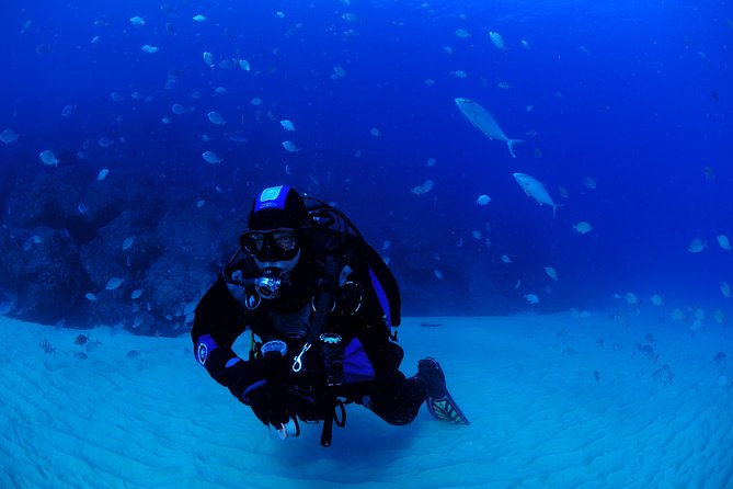 Lisbon Eco Try Dive Diving Baptism Activity Overview