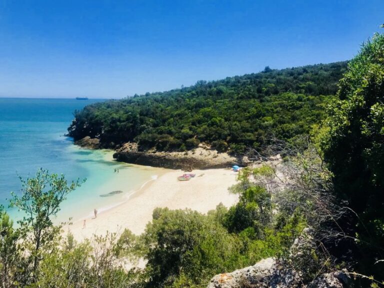 Lisbon: Full Day Arrabida Kayak Tour With Picnic Tour Overview