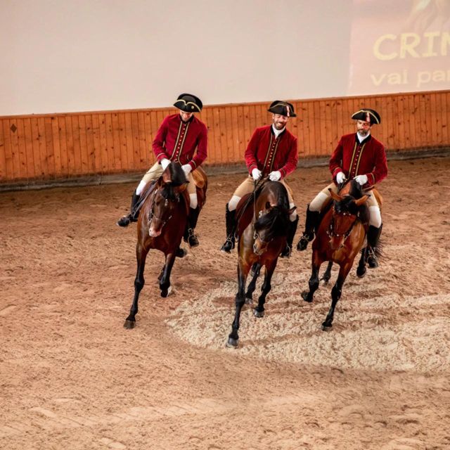 Lisbon: Portuguese Riding School Trainig With Lusitano Horse Overview And Pricing