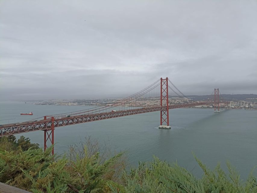 Lisbon: Private Arrábida and Dolphin Watching Boat Tour - Tour Details