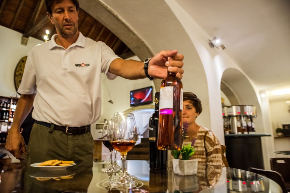 Lisbon Private Setúbal Region Wine Tasting Tour - Tour Overview