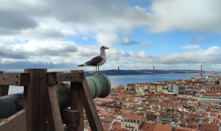 Lisbon: Saint Georges Castle Guided Tour With Entry Ticket Tour Overview