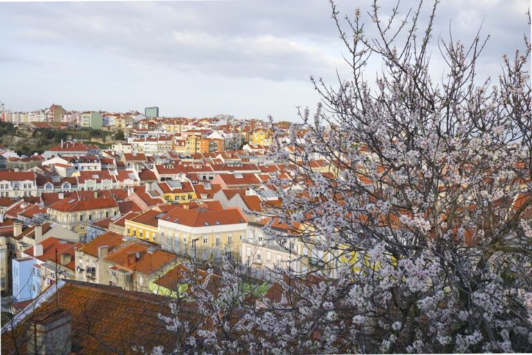 Lisbon: Secrets Of Arroios A Self Guided City Game Experience Overview