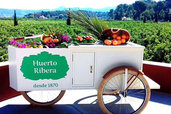 Live an Experience Among Orange Trees in Huerto Ribera - Experience Overview