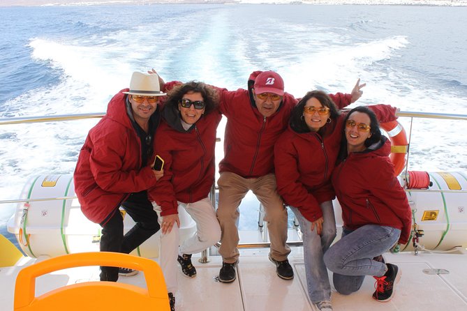 Lobos Island - the Dolphin Route - Chances of Seeing Wild Dolphins