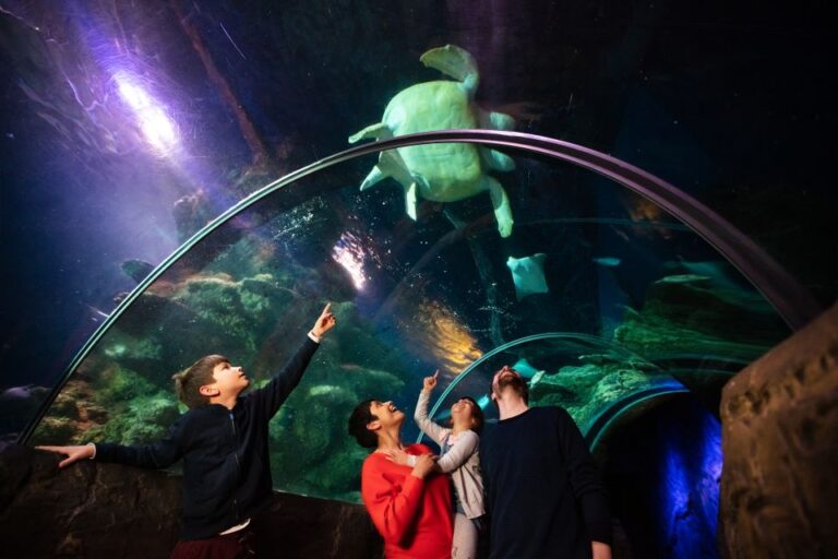 London: Madame Tussauds, London Eye & Sea Life Combo Ticket Madame Tussauds: Rubbing Shoulders With Celebrities