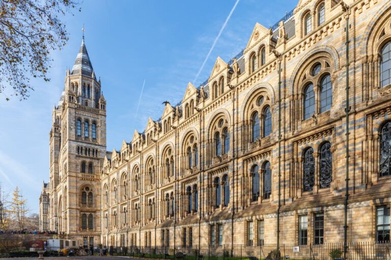 London: Natural History Museum Tour Tour Overview