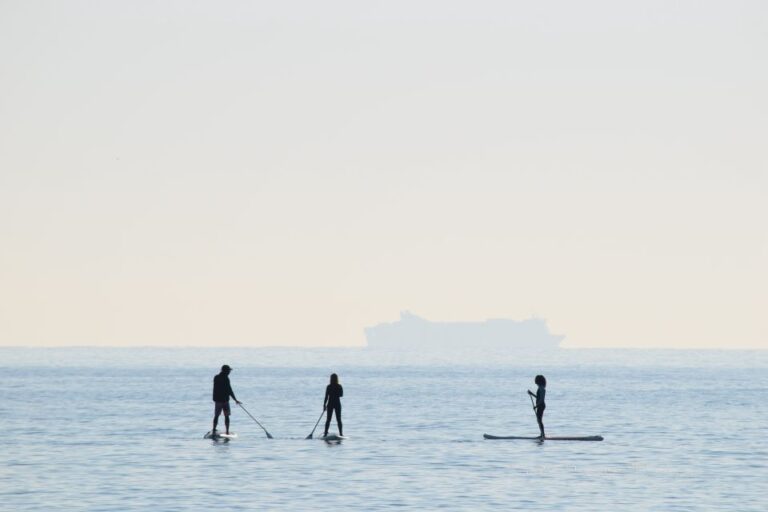 Los Cristianos: Stand Up Paddle Board Lesson Overview Of The Lesson