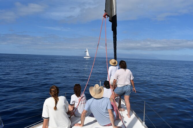 Los Gigantes Clifs Small Group Sail Tour With Lunch Included Amenities