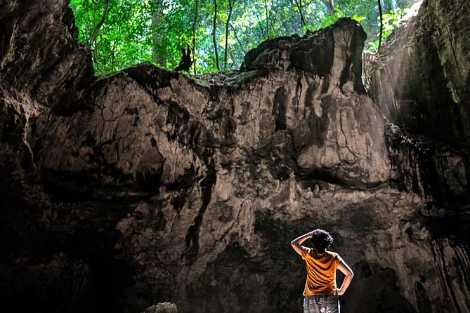 Los Haitises National Park Hiking In Rain Forest + Private Boat To Caves Overview Of The Tour