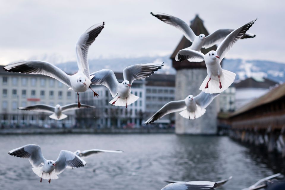 Lucerne: First Discovery Walk and Reading Walking Tour - Tour Overview