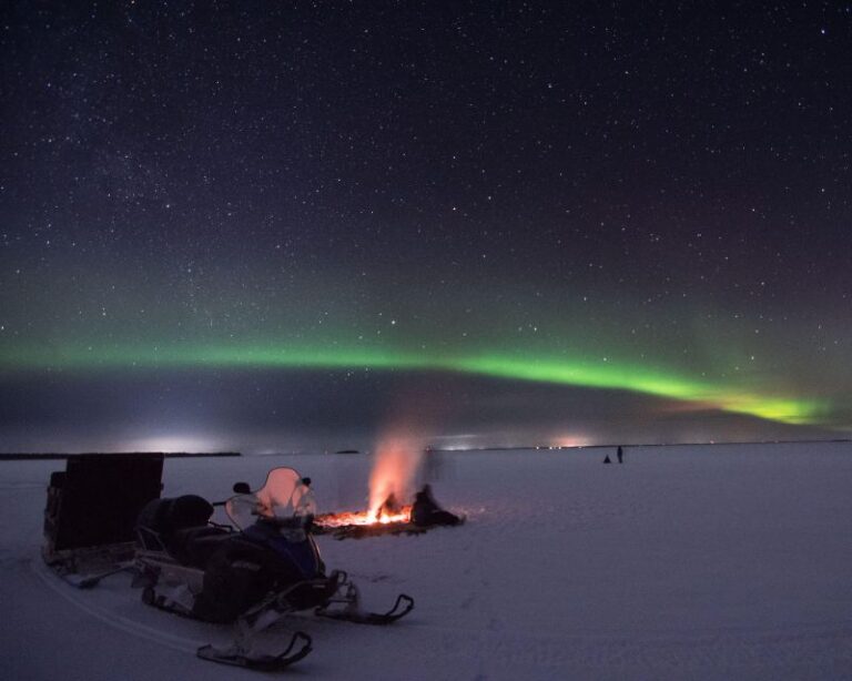 Luleå: Northern Lights Tour On A Snowmobile Drawn Sled Activity Overview