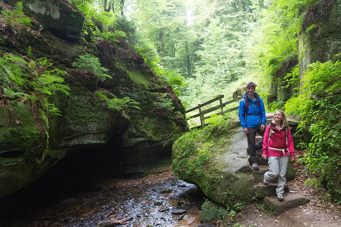 Luxembourg: Nature & Castle Day Trip Tour Highlights