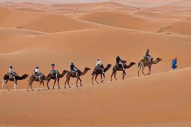 Luxury 2 Days Desert Trip From Fes To.:( Fes Or Marakech) Highlights Of The Journey