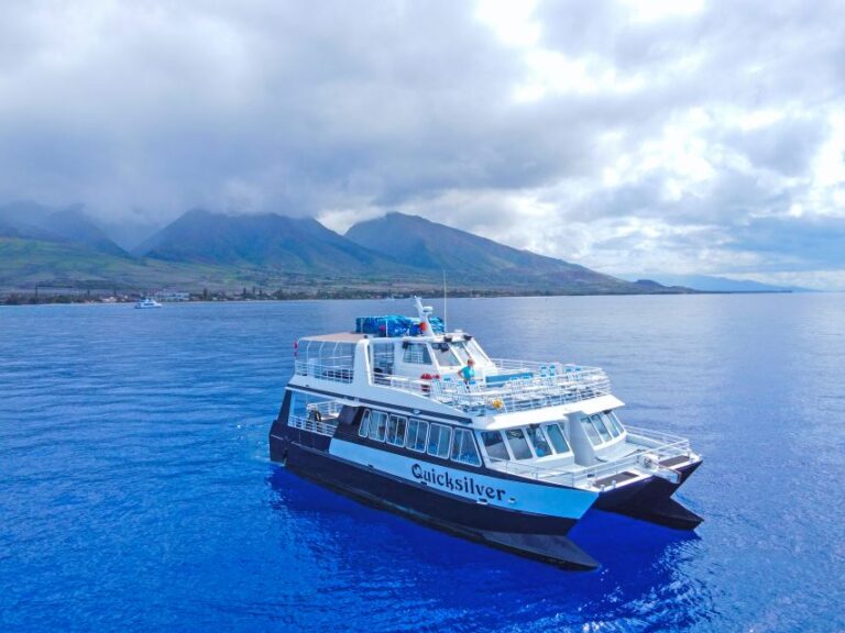 Maalaea Harbor: Whale Watching Catamaran Cruise Activity Overview