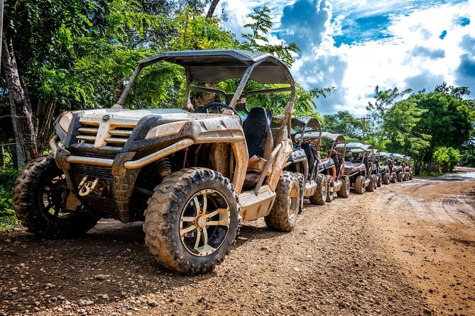 Macao Beach Buggy Safari & Cenote Swimming - Pickup Information