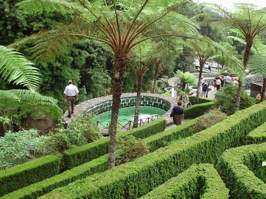 Madeira East Island Tour and Levada Walk - Tour Overview