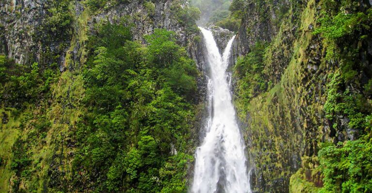 Madeira: Enjoy A Guided Levada Walk In The Rabaçal Valley Overview Of The Guided Tour