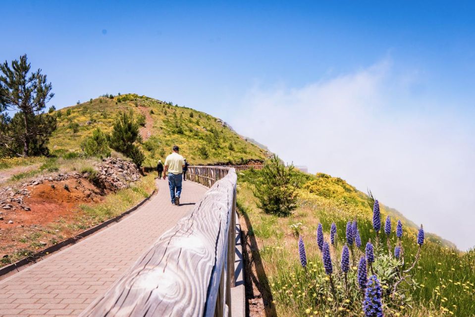 Madeira : Full Day Adult Only East 4x4 Tour - Tour Details and Highlights