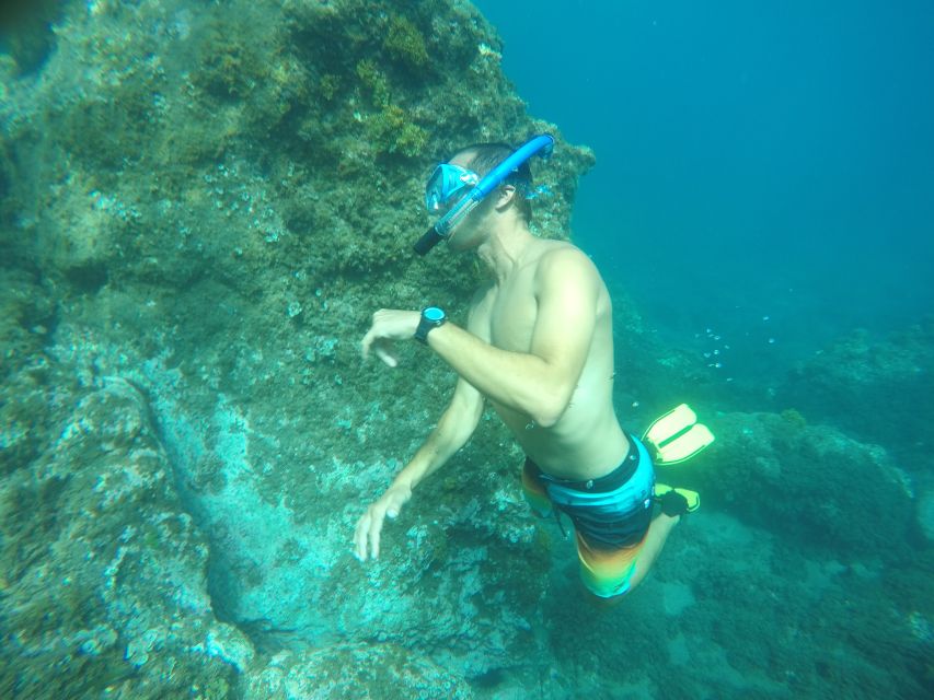 Madeira: Garajau Nature Reserve Kayak and Snorkel Tour - Tour Overview