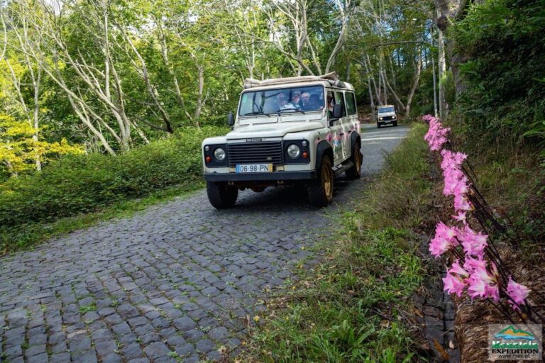 Madeira: Half Day Nuns Valley And Sea Cliff Tour Tour Overview