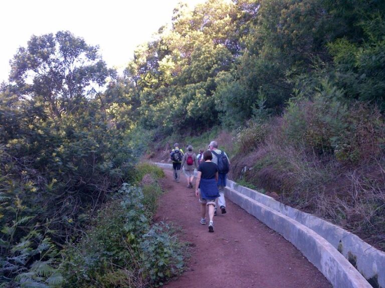 Madeira: Maroços Landscapes 2.5 Hour Guided Walk Activity Overview