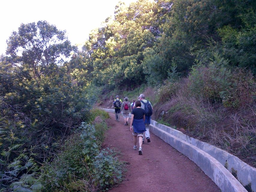 Madeira: Maroços Landscapes 2.5-Hour Guided Walk - Activity Overview