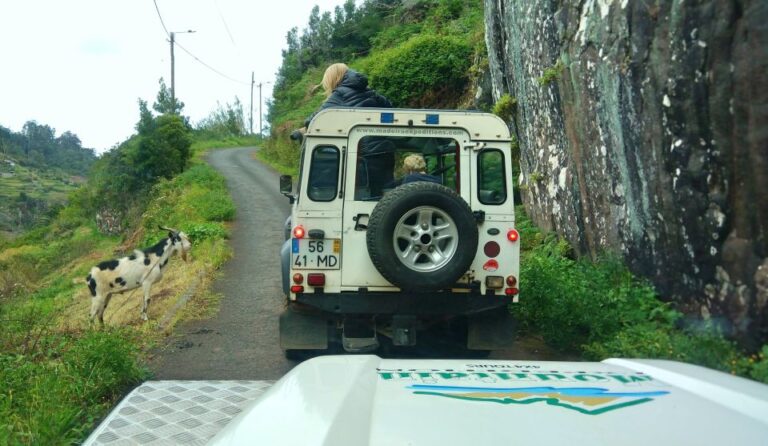 Madeira: Mini Combo East Challenge: Jeep Safari + Levada Overview Of The Challenge