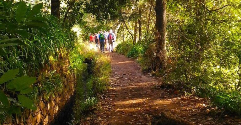 Madeira: Paradise Valley Levada Walk Overview Of The Levada Walk